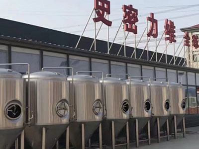 徐汇精酿啤酒设备厂—如何判断精酿啤酒设备的密封件需要更换?